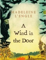 a-wind-in-the-door