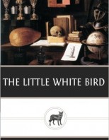 the-little-white-bird