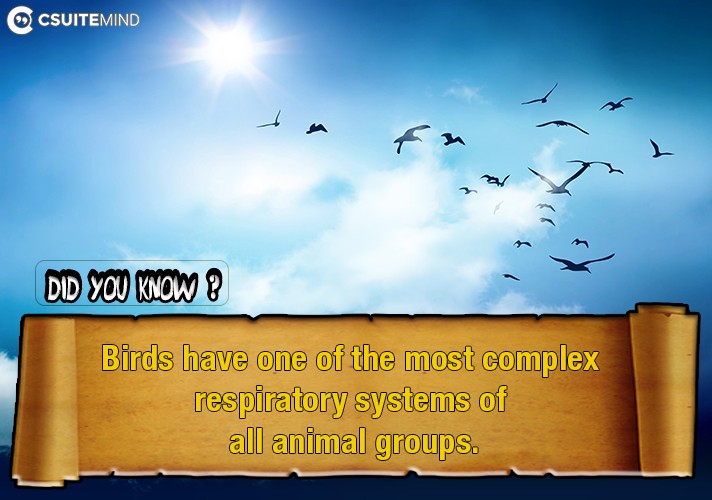 Birds have one of the most complex respiratory systems of all animal groups.