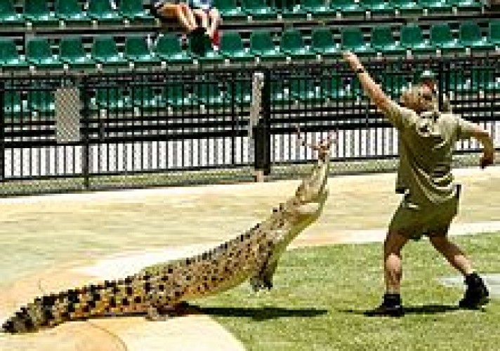 Steve Irwin and Terri spent their honeymoon trapping crocodiles together. Film footage of their honeymoon, taken by John Stainton, became the first episode of The Crocodile Hunter.