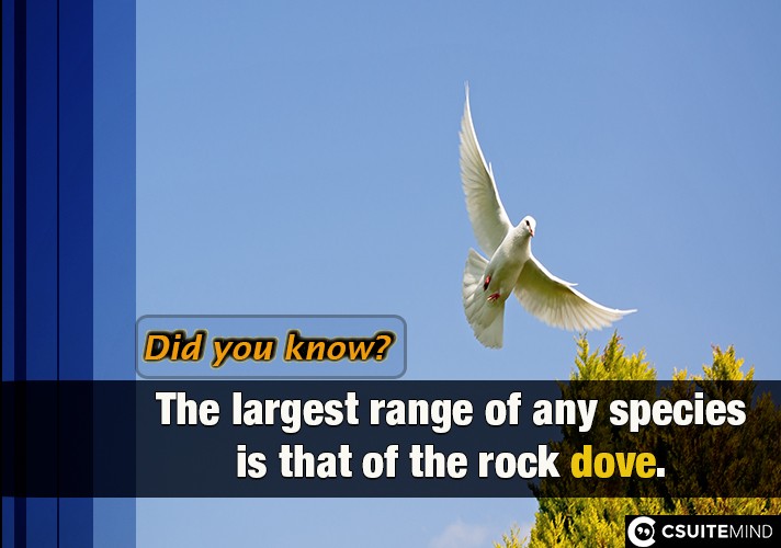 The largest range of any species is that of the rock dove. 
