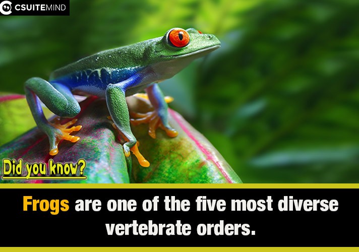   Frogs are one of the five most diverse vertebrate orders.
