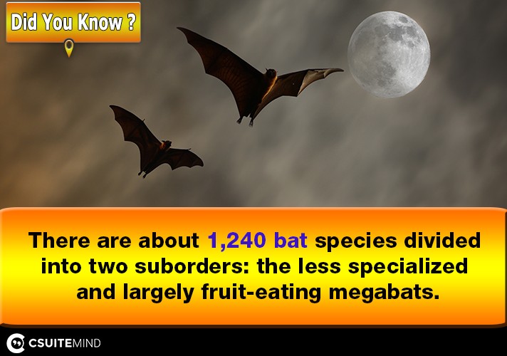 There are about 1,240 bat species divided into two suborders: the less specialized and largely fruit-eating megabats.