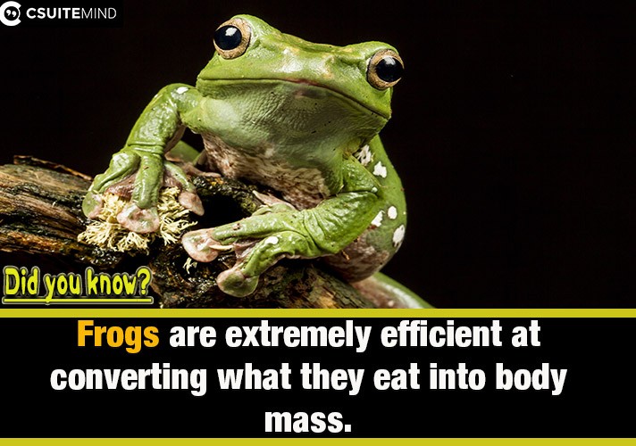  Frogs are extremely efficient at converting what they eat into body mass. 
