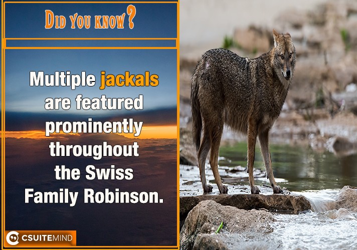 Multiple jackals are featured prominently throughout the Swiss Family Robinson.
