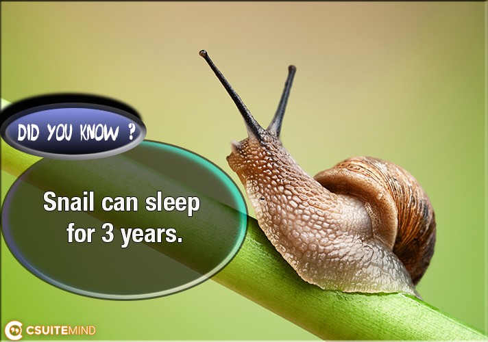 Snail can sleep for 3 years. 