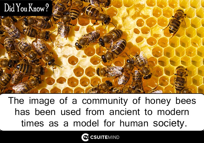 The image of a community of honey bees has been used from ancient to modern times as a model for human society. 