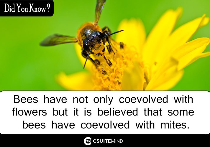 Bees have not only coevolved with flowers but it is believed that some bees have coevolved with mites.