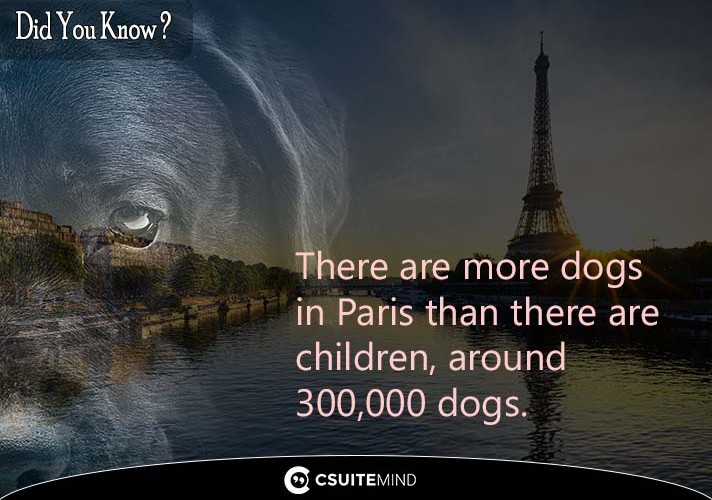 There are more dogs in Paris than there are children, around 300,000 dogs.