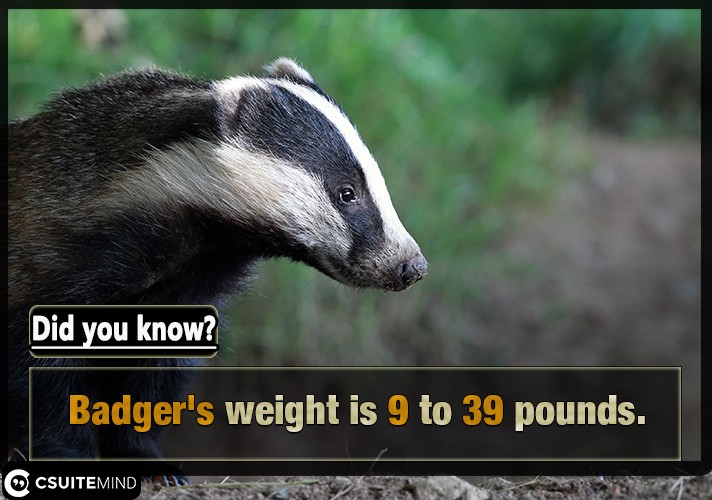  Badger's weight is  9 to 39 pounds 
