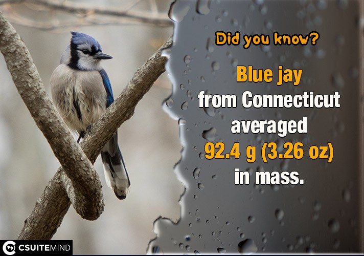 Blue jay  from Connecticut averaged 92.4 g (3.26 oz) in mass.
