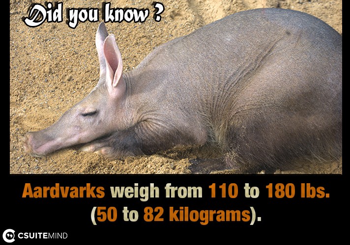 aardvarks-weigh-from-110-to-180-lbs-50-to-82-kilograms