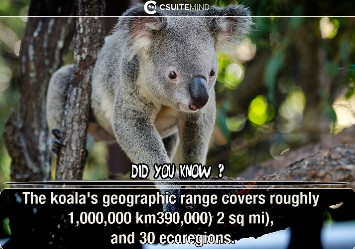 The koala's geographic range covers roughly 1,000,000 km2 (390,000 sq mi), and 30 ecoregions.