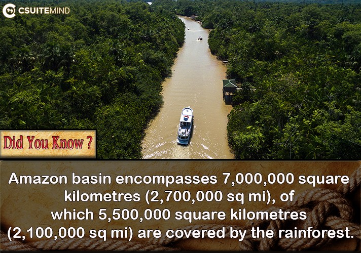 amazon-basin-encompasses-7000000-square-kilometres-2700000-sq-mi-of-which-5500000-square-kilometres-2100000-sq-mi-are-covered-by-the-rainforest