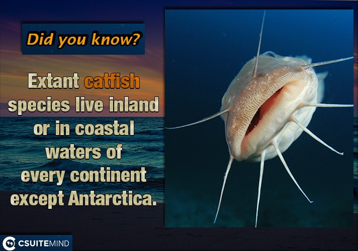Extant catfish species live inland or in coastal waters of every continent except Antarctica.
