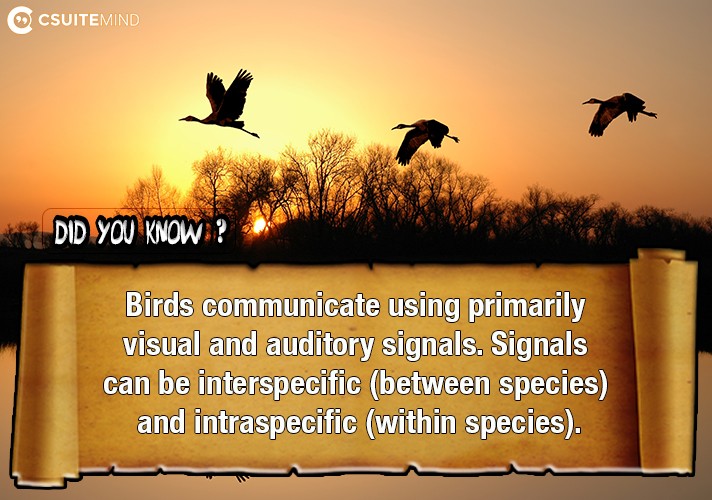 Birds communicate using primarily visual and auditory signals. Signals can be interspecific (between species) and intraspecific (within species).