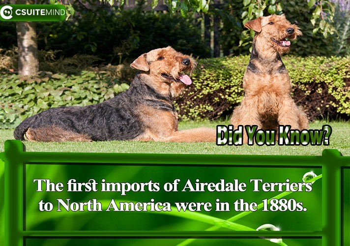 The first imports of Airedale Terriers to North America were in the 1880s. 
