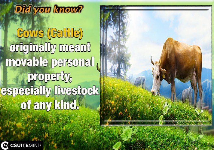 Cows (Cattle) originally meant movable personal property, especially livestock of any kind, 
