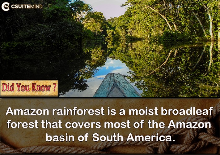 amazon-rainforest-is-a-moist-broadleaf-forest-that-covers-most-of-the-amazon-basin-of-south-america