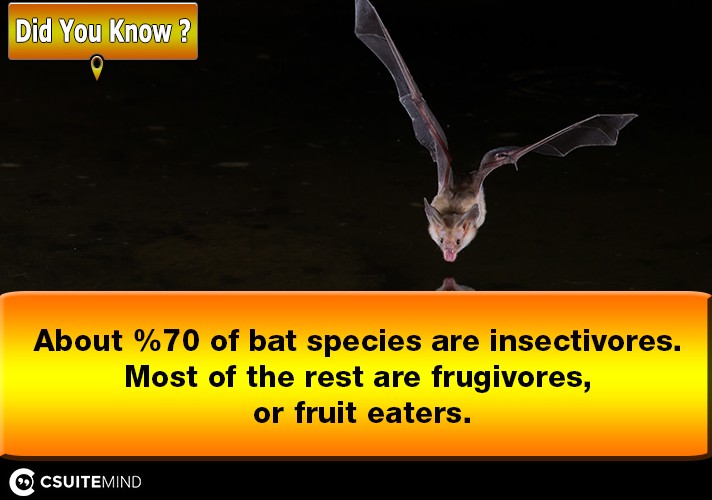 About 70% of bat species are insectivores. Most of the rest are frugivores, or fruit eaters.
