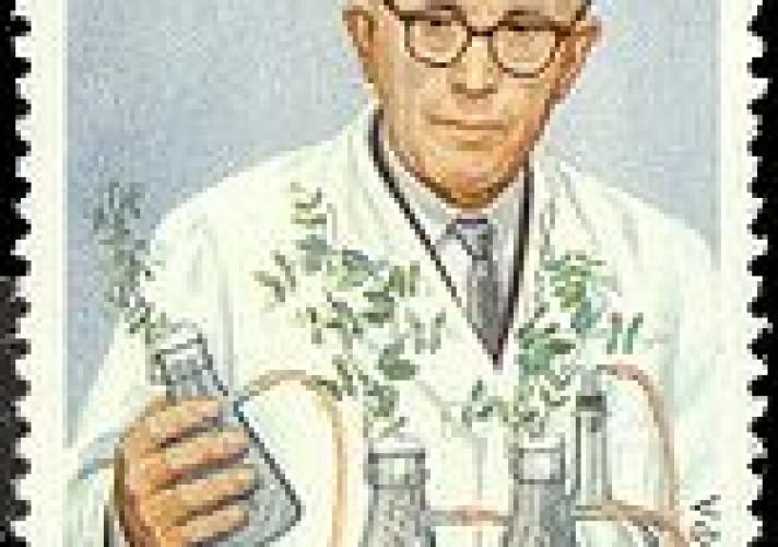 Artturi Ilmari Virtanen was a Finnish chemist and recipient of the 1945 Nobel Prize in Chemistry.