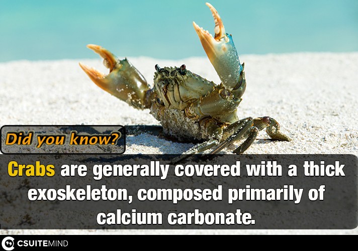 Crabs are generally covered with a thick exoskeleton, composed primarily of calcium carbonate,
