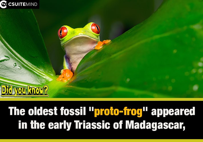 The oldest fossil 