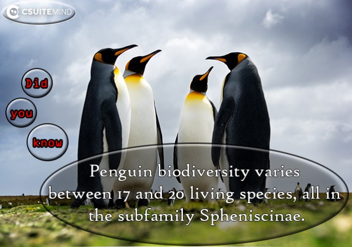 Penguin biodiversity varies between 17 and 20 living species, all in the subfamily Spheniscinae.
