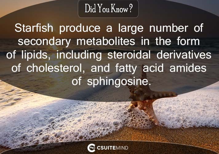 Starfish produce a large number of secondary metabolites in the form of lipids, including steroidal derivatives of cholesterol, and fatty acid amides of sphingosine.