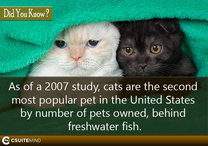 As of a 2007 study, cats are the second most popular pet in the United States by number of pets owned, behind freshwater fish. 