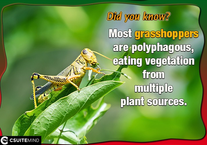 Most grasshoppers are polyphagous, eating vegetation from multiple plant sources.
