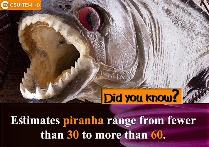  Estimates piranha  range from fewer than 30 to more than 60.
