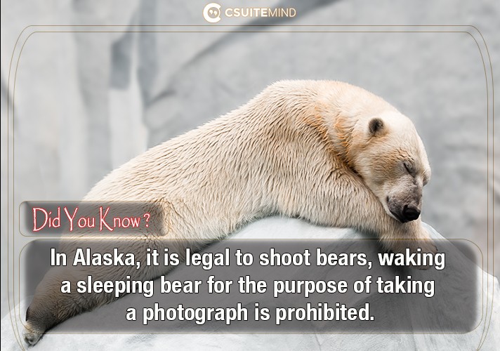  In Alaska, it is legal to shoot bears, waking a sleeping bear for the purpose of taking a photograph is prohibited.
