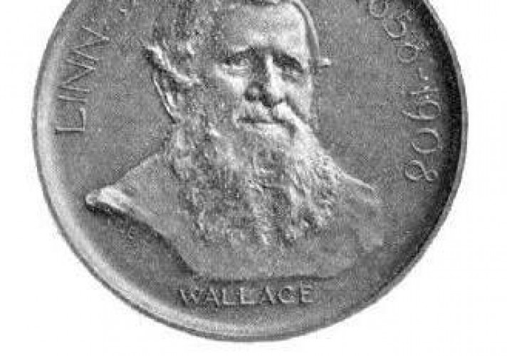 Alfred Russel Wallace had financial difficulties throughout much of his life.