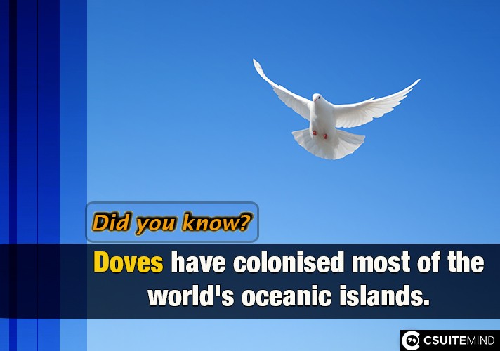  Doves have colonised most of the world's oceanic islands, 
