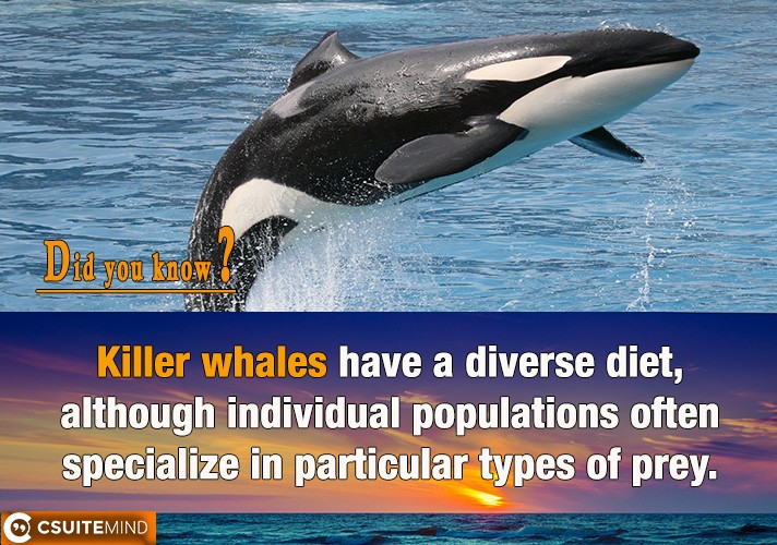  Killer whales have a diverse diet, although individual populations often specialize in particular types of prey. 
