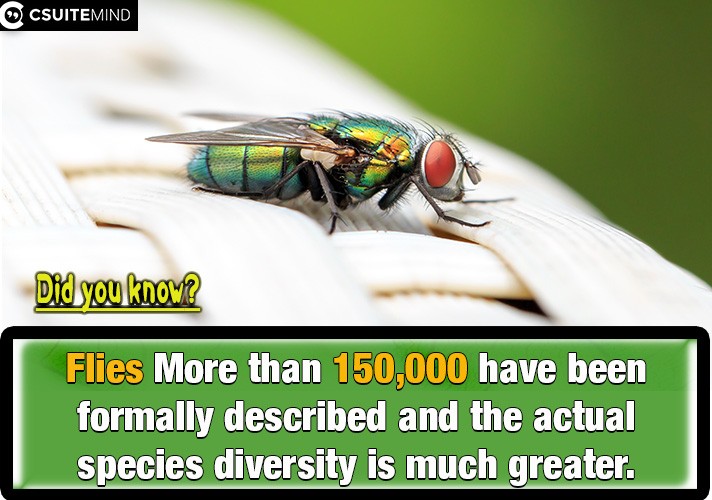 Flies More than 150,000 have been formally described and the actual species diversity is much greater,
