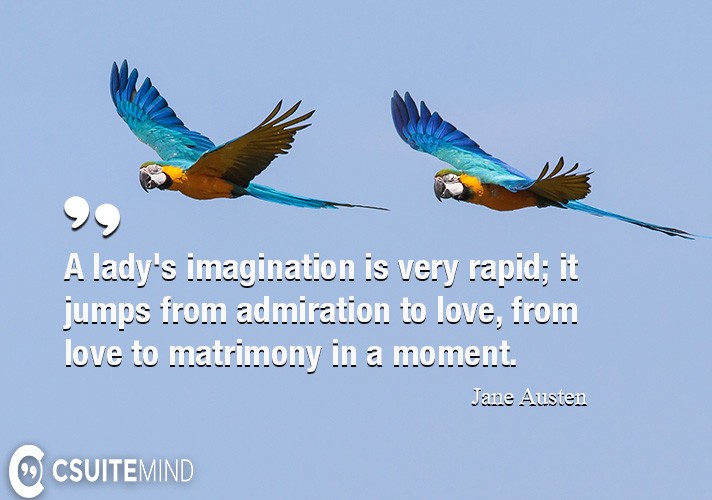 a-ladys-imagination-is-very-rapid-it-jumps-from-admiration