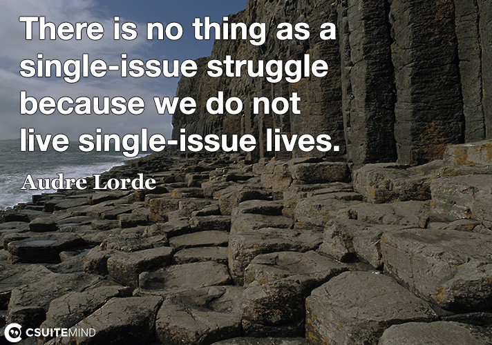 there-is-no-thing-as-a-single-issue-struggle-because-we-do-n