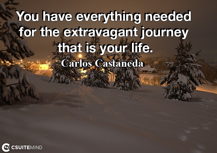 You have everything needed for the extravagant journey that is your life.