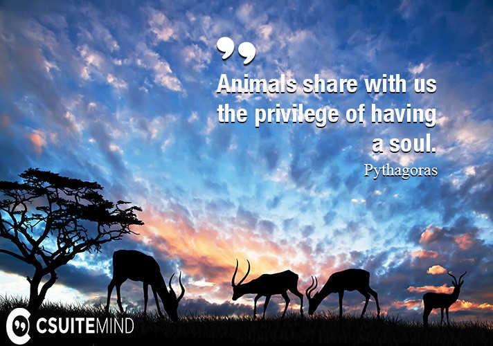 Animals share with us the privilege of having a soul.