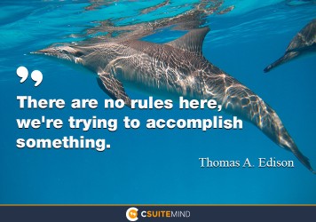 There are no rules here -- we're trying to accomplish something.