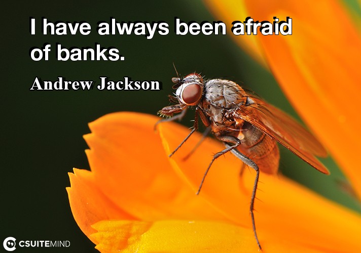 i-have-always-been-afraid-of-banks