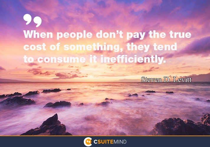 When people don’t pay the true cost of something, they tend to consume it inefficiently.