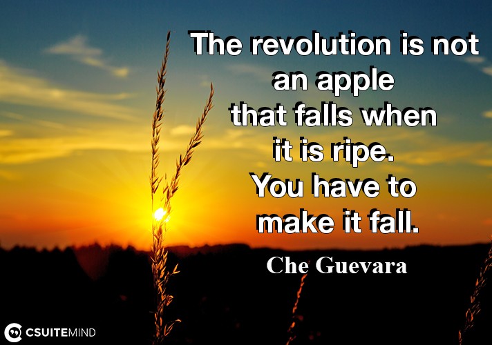 the-revolution-is-not-an-apple-that-falls-when-it-is-ripe-y