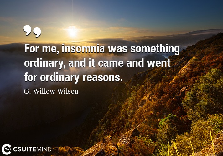 For me, insomnia was something ordinary, and it came and went for ordinary reasons.