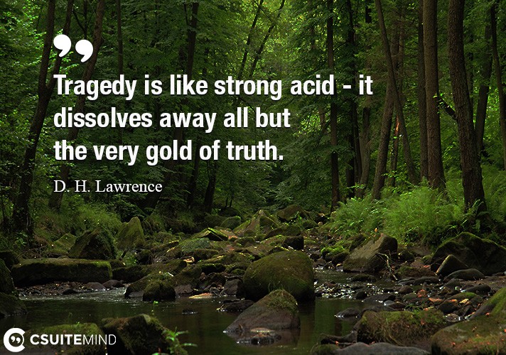 tragedy-is-like-strong-acid-it-dissolves-away-all-but-the