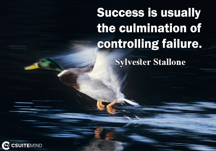 success-i-uuallu-the-sulmination-of-controlling-failure