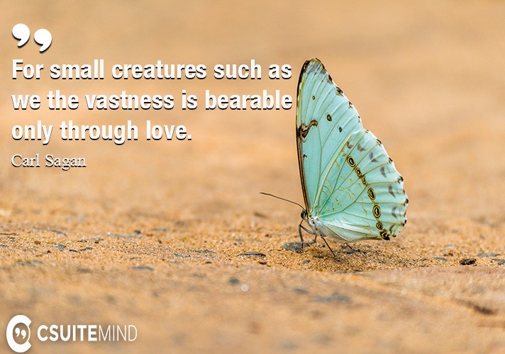 for-small-creatures-such-as-we-the-vastness-is-bearable-only