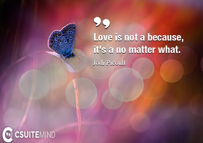 love-is-not-a-because-its-a-no-matter-what